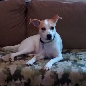 Meet your Posher, Belinda